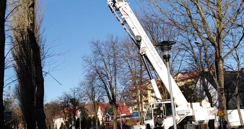 Wycinkę wykonano w piątek 1 marca. Przy ulicy Grunwaldzkiej...