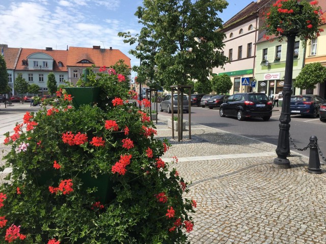 Pleszew rozkwita na lato! W mieście pełno pelargonii i begonii! To się nazywa kwiatowa stolica Wielkopolski