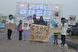 Bełchatów: Protest pod cyrkiem