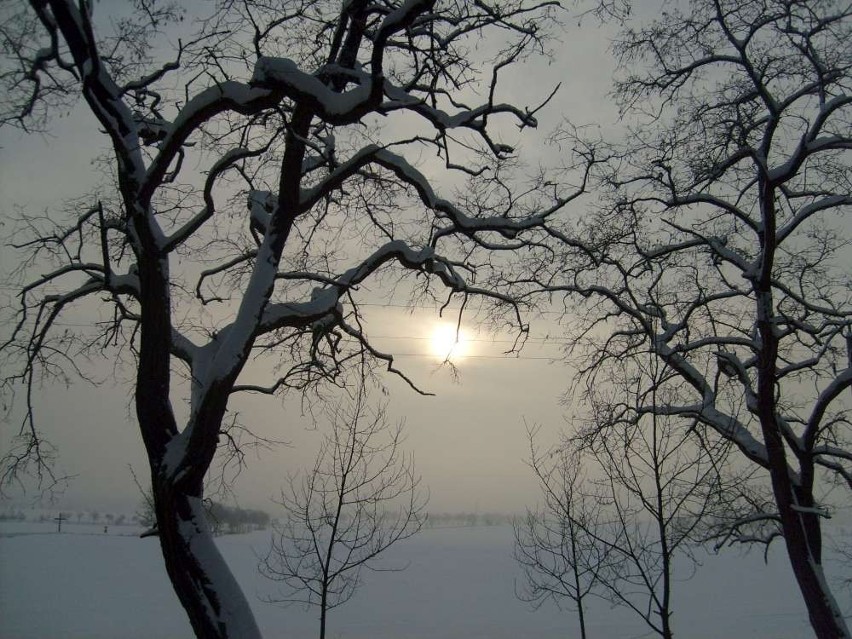 Zimowy pejzaż - zdjęcie wykonane w okolicach Strzelec