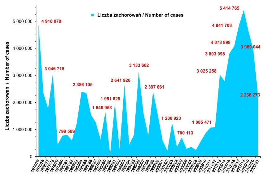 Grypa w województwie łódzkim. Ilu chorych w listopadzie? Bezpłatne szczepienia od 23 listopada 