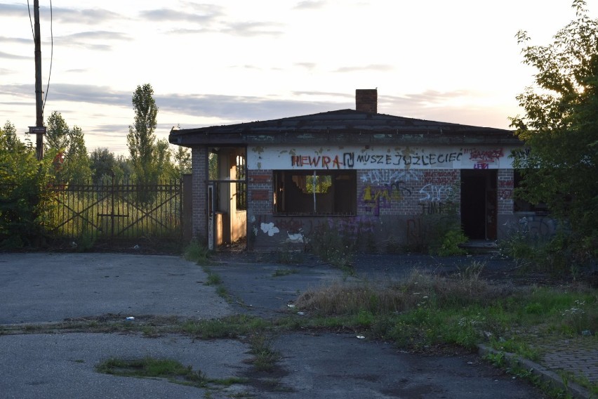 Tereny dawnej cukrowni w Gnieźnie [25.07.2020]