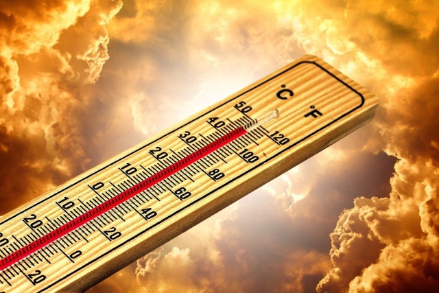 Sprawdź rekordowe temperatury na Kujawach i Pomorzu>>>