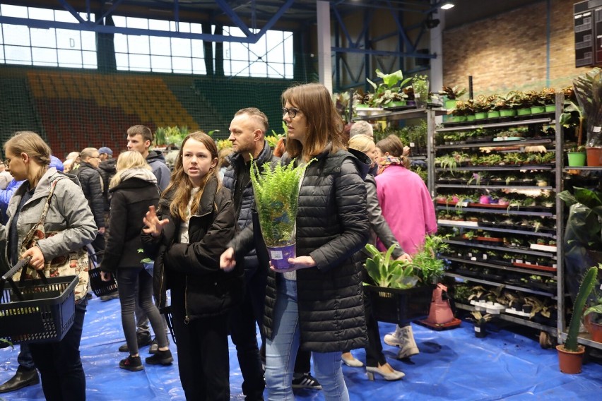 Tłumy na Festiwalu Roślin w Legnicy. Jest ponad 300 gatunków, zobaczcie zdjęcia