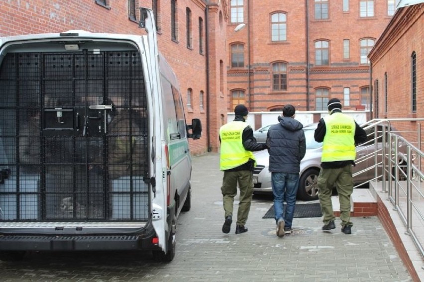 Brzeg. Nielegalni imigranci w transporcie świątecznych choinek