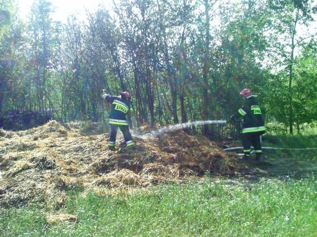 Krotoszyn - Strażacy gasili pożar na ul. Żwirowej. Paliły się baloty słomy i nieuzytki ZDJĘCIA