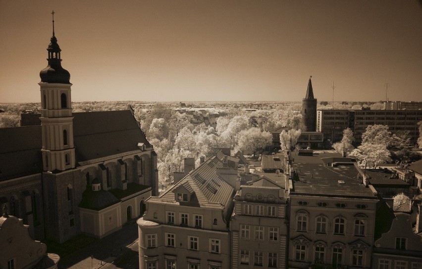 Opole z wieży ratusza