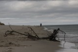 Zwłoki na helskiej plaży. Czy to zaginiona Iwona Kitowska z Gdyni?