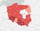 Trwa wielka akcja szczepień przeciwko COVID-19. W którym województwie zaszczepiono najwięcej osób? [MAPA]