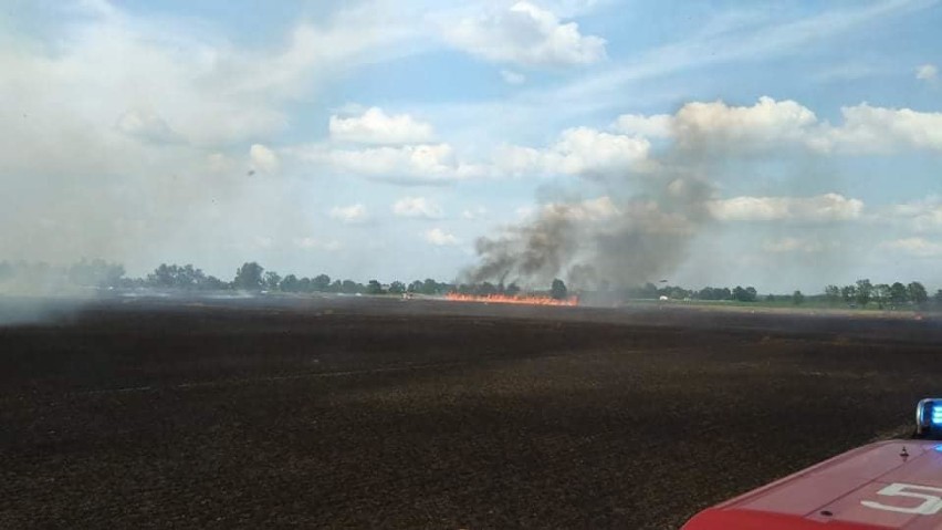 Gigantyczny pożar! Spłonęło około 80 hektarów zboża