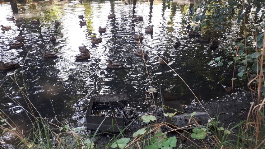 - Park Poetów, niegdyś chluba naszego miasta to teraz...