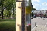 Olkusz. Żar leje się z nieba. W centrum miasta temperatura sięga pod 40 stopni Celsjusza! ZDJECIA