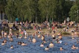 Zakaz kąpieli nad Jeziorem Kierskim. Czerwona flaga widnieje przy kąpielisku
