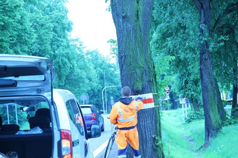 MZD oznaczył drzewa wzdłuż ulicy Bielskiej