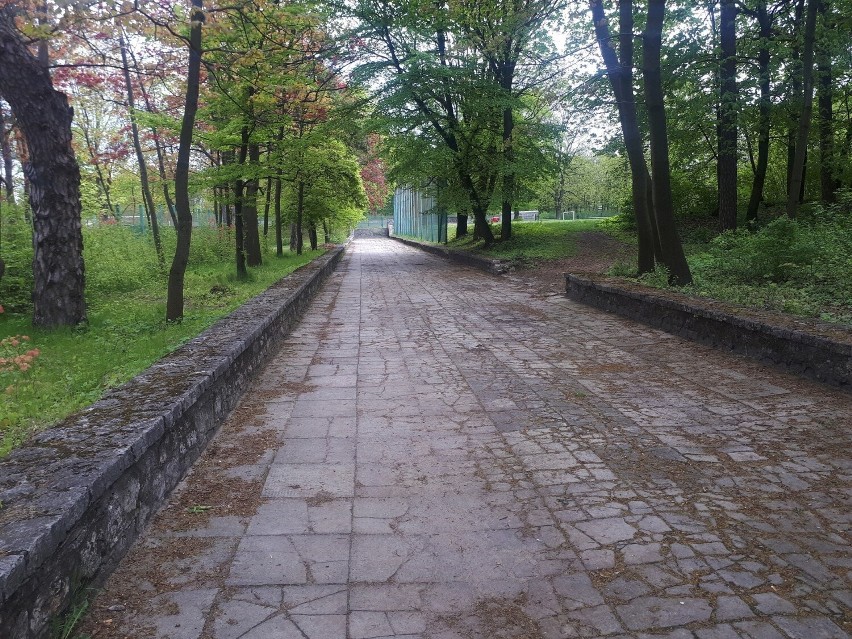 "Czarna Góra" w Olkuszu (archiwum - 2019)