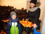 Pyszne jabłka dla każdego - młodzież z Gimnazjum Katolickiego w Kartuzach rozdała 20 ton jabłek