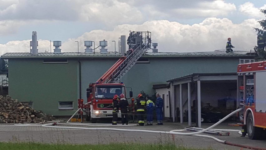 Pożar w Bukowcu. Ogień pojawił się na terenie zakładu "Danmis"