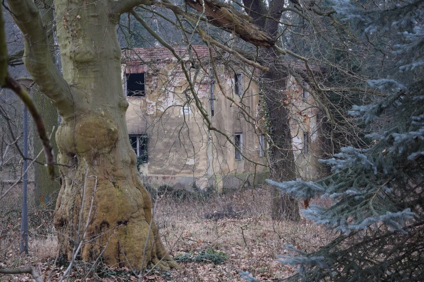 Barokowy Zespół Pałacowo-Parkowy w Sławie czeka na nowego...