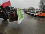 Ogólnopolski Protest Rolników. Trwa także w powiecie poddębickim. Poddębice blokuje ponad sto ciągników ZDJĘCIA