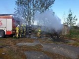 Pożary w gmina Unisław, sarna w bagnie - co działo się w powiecie chełmińskim? [zdjęcia]