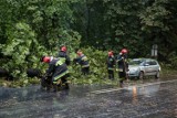 Radwan. Słup elektryczny przewrócił się na drogę