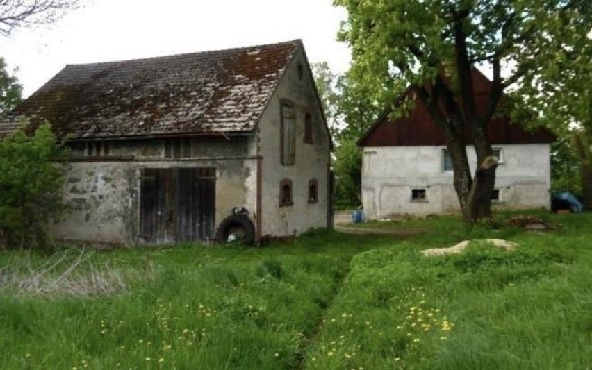 Chcą stworzyć pierwsze na Dolnym Śląsku sanktuarium dla potrzebujących zwierząt! [ZDJĘCIA]