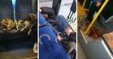 Spali po libacji, bezpańskie psy... Co jeszcze zaskoczyło pasażerów na Śląsku?