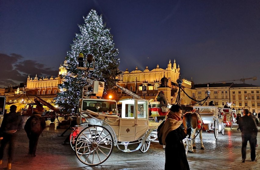 Kraków. Piękna choinka stoi już na krakowskim Rynku [ZDJĘCIA]