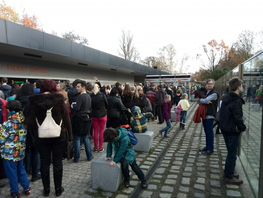 Tłumy w Afrykarium. Ogromna kolejka i korki (ZDJĘCIA)