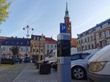 Starogard Gdański: wraca płatne parkowanie w mieście! 
