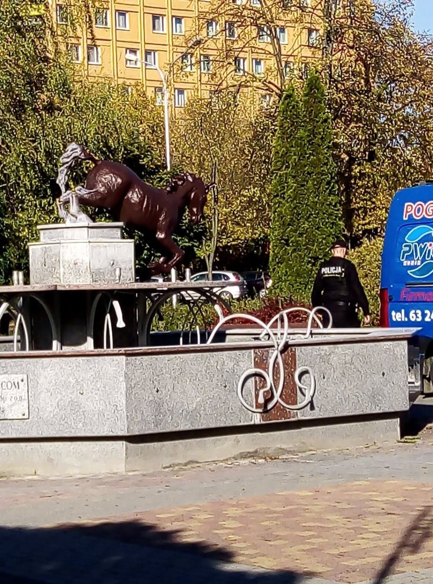 Wandale zniszczyli fontannę konia  w centrum miasta  