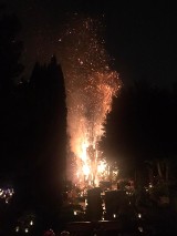 Pożar na cmentarzu w Szczawnie - Zdroju. Od zniczy zajęło się drzewo! ZDJĘCIA, FILMY