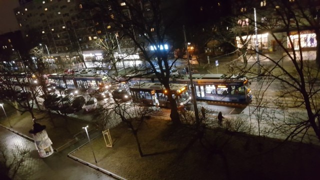 Tramwaje stoją na ul. Królewskiej. Złamane drzewo zerwało sieć trakcyjną.