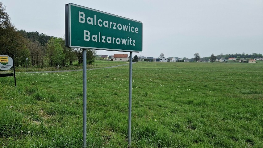 W Balcarzowicach niedaleko Strzelec Opolskich rośliny...