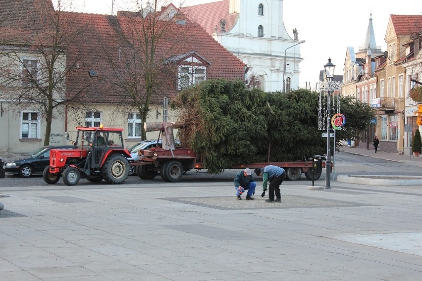 WOLSZTYN-  Choinka już stoi  na Rynku (foto)