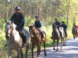 Więcej rekreacji w szczecińskich lasach