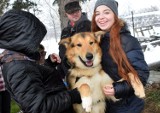 Psiaki z przytuliska w Krośnie czekają na nowy dom [ZDJĘCIA]