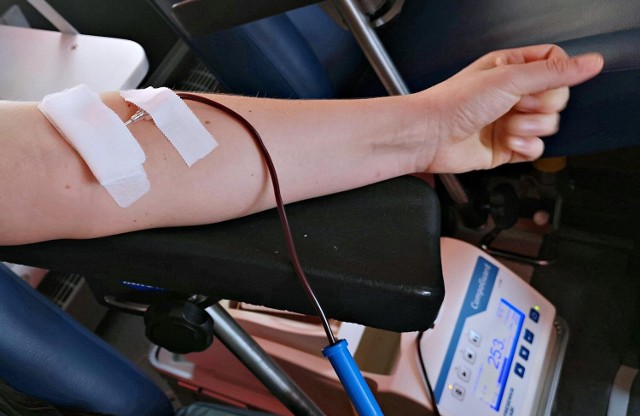 Kolejna akcja krwiodawstwa w Obornikach. Starostwo powiatowe zaprasza do pomocy.