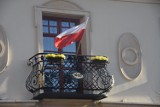 Biało-czerwone Żory. W Święto Niepodległości miasto tonie w polskich flagach. Rynek i otaczające go uliczki mienią się barwami. Zobaczcie!