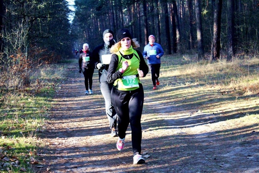 Grand Prix Bydgoszcz CITY TRAIL – frekwencja ciągle w górę!...