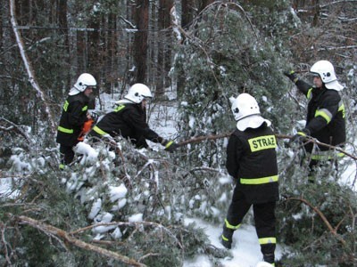Strażacy z Poraja usuwali połamane drzewa m.in. przy drodze w Żarkach Letnisku
