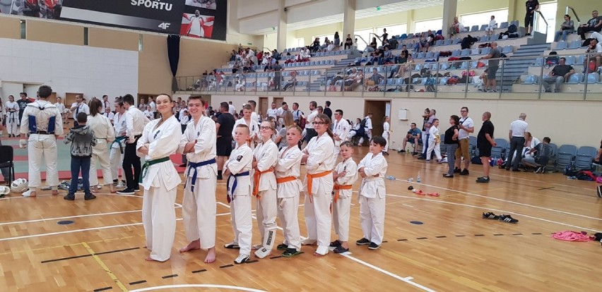 Cztery medale dla Akademii Karate Kyokushin w Radomsku [ZDJĘCIA]
