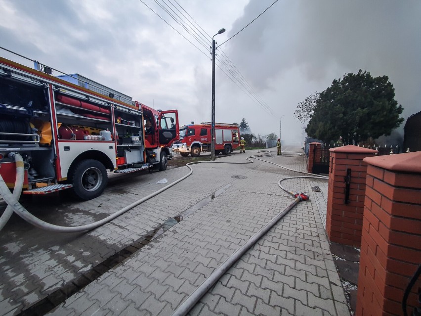 Pożar pieczarkarni na Kopernika w Leszni