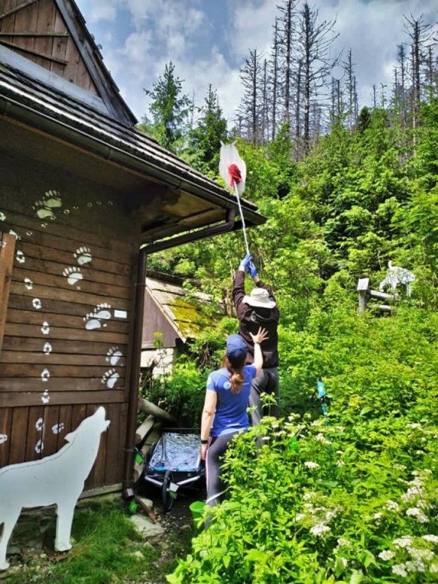 Tatry. Wolontariusze znów pomagają dbać o przyrodę i pilnować turystów [ZDJĘCIA]