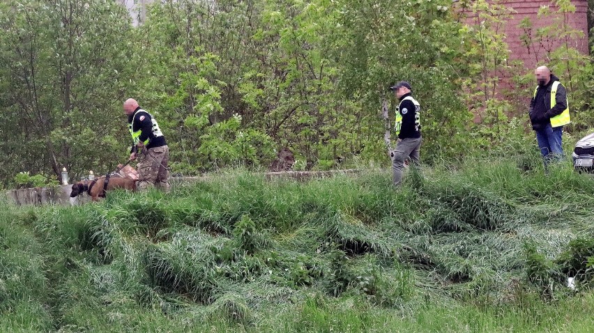 Legnica: Na miejscu gdzie znaleziono zwłoki trwają czynności z psem policyjnym, zdjęcia