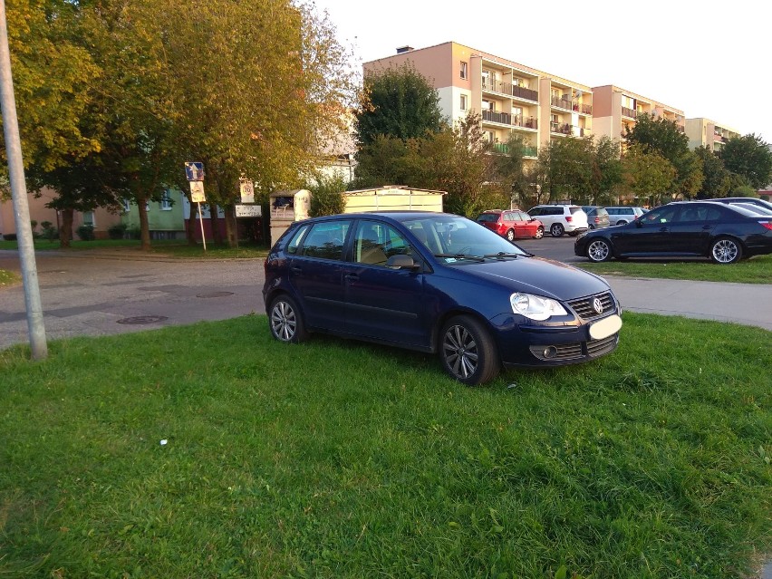 Wczoraj (23 września) prezentowaliśmy galerię zdjęć mistrzów...