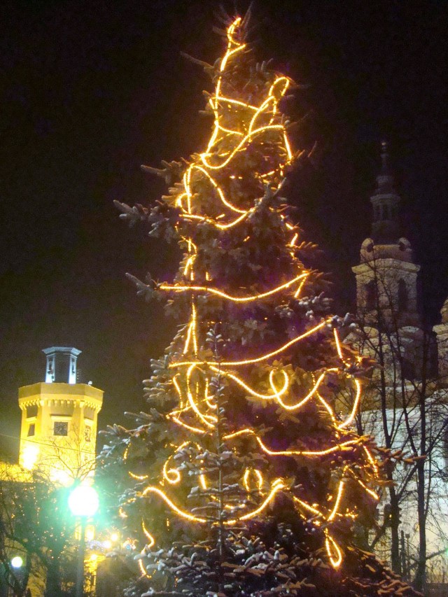 Choinka znajdująca się w parku na placu 3 Maja. W tle ratusz (po lewej) i kości&oacute;ł św. Lamberta (po prawej).