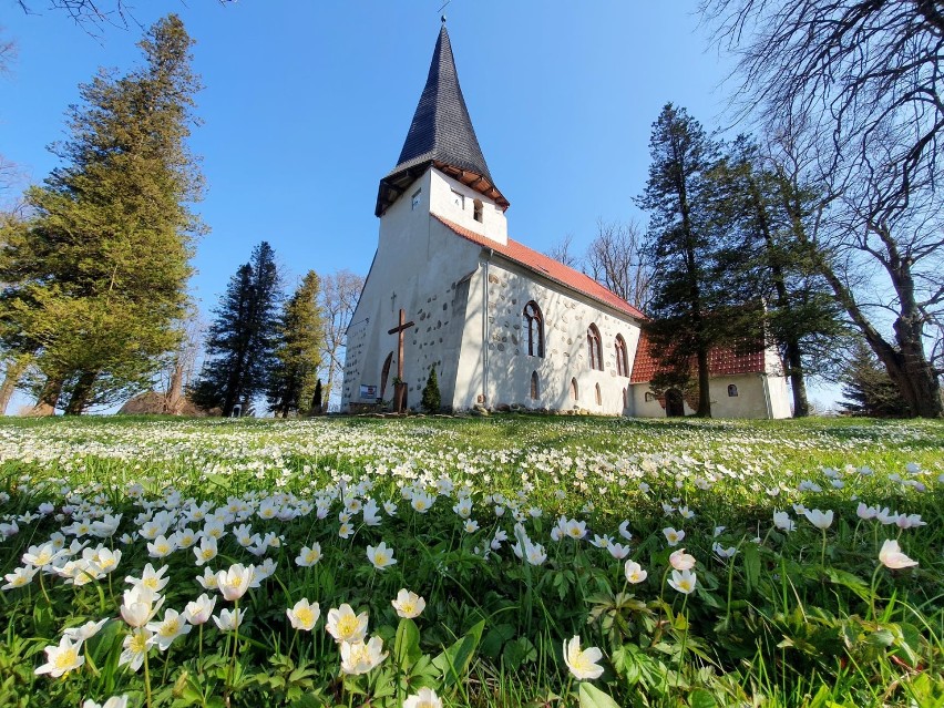 Gmina Postomino: Kościół w Łącku w wiosennym wydaniu [zdjęcia]