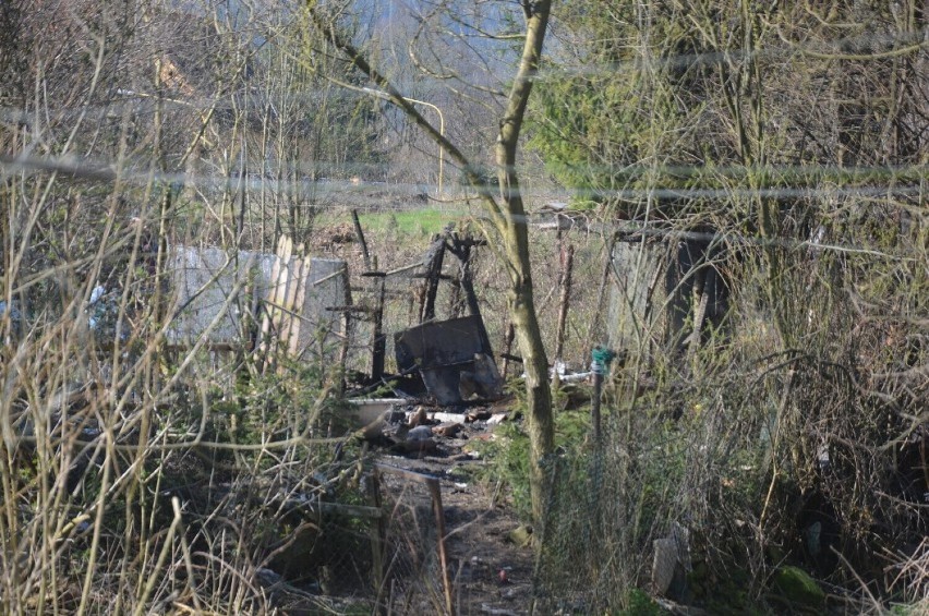 Tragiczny pożar w Szczytnej. Śledczy zlecili wykonanie badań...