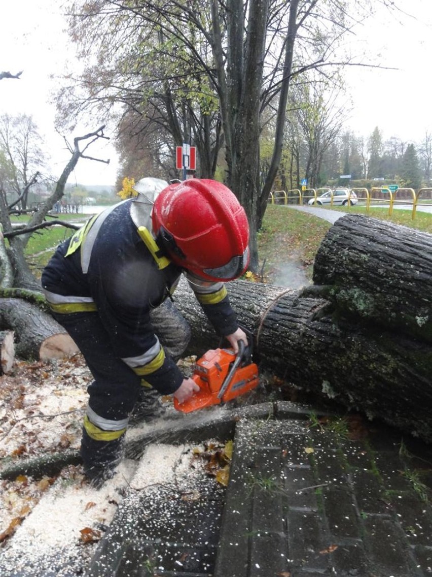 Strażacy usuwają drzewo przy ul. Wzgórze Wolności w...